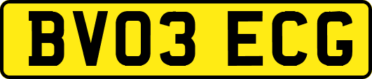 BV03ECG