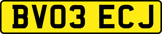 BV03ECJ