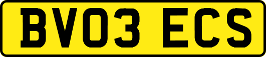 BV03ECS