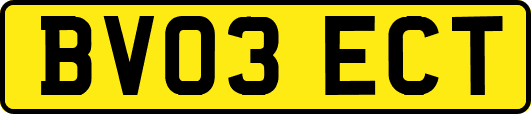 BV03ECT