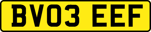 BV03EEF