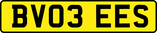 BV03EES