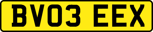 BV03EEX