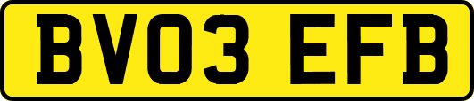 BV03EFB