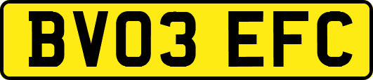 BV03EFC