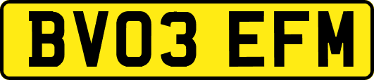 BV03EFM