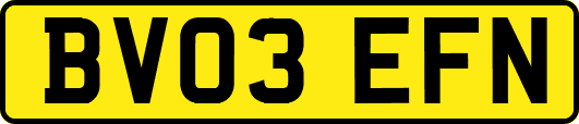 BV03EFN