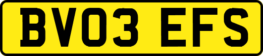 BV03EFS