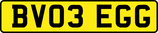 BV03EGG