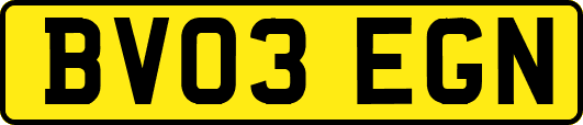 BV03EGN