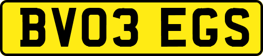 BV03EGS