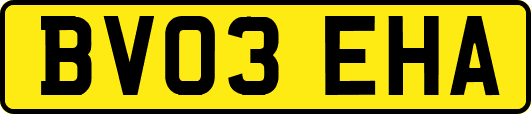 BV03EHA