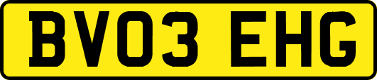 BV03EHG