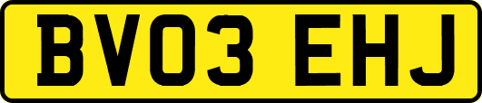 BV03EHJ