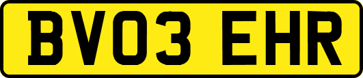 BV03EHR