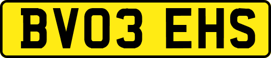BV03EHS