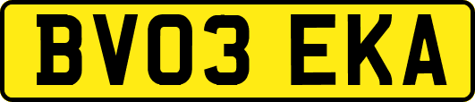 BV03EKA