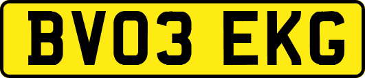 BV03EKG