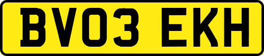 BV03EKH