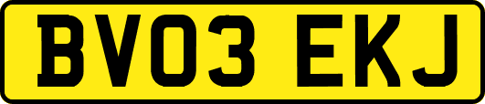 BV03EKJ