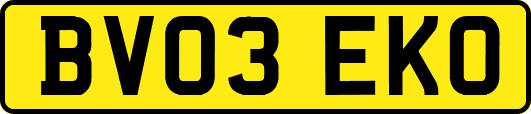 BV03EKO