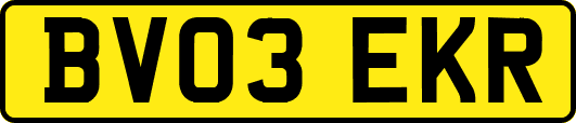 BV03EKR