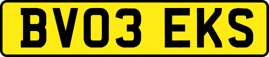 BV03EKS