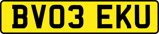 BV03EKU