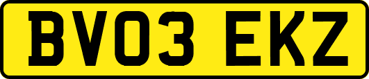 BV03EKZ