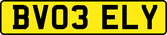 BV03ELY