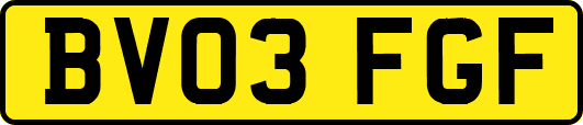 BV03FGF