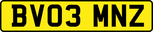 BV03MNZ