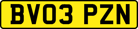 BV03PZN