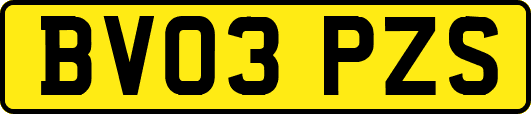 BV03PZS
