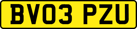 BV03PZU