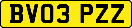 BV03PZZ