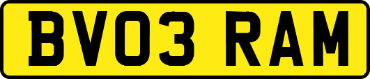 BV03RAM