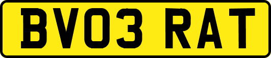 BV03RAT