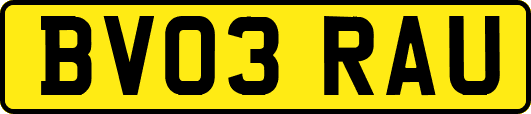 BV03RAU