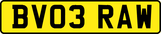 BV03RAW
