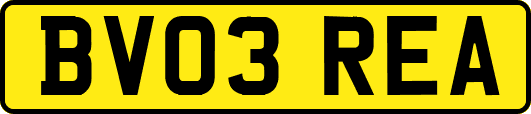 BV03REA