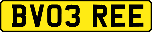 BV03REE