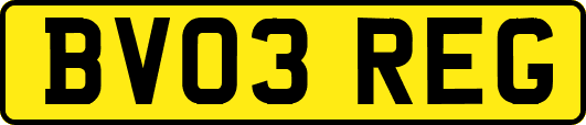 BV03REG