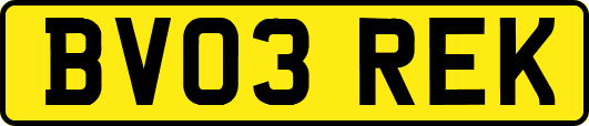 BV03REK