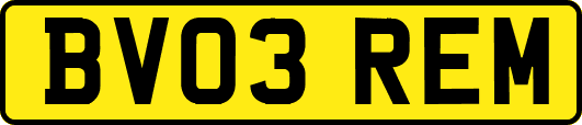 BV03REM