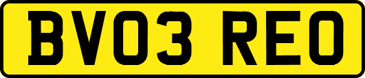 BV03REO