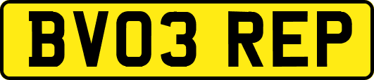 BV03REP