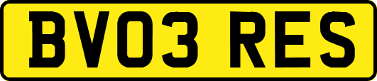 BV03RES