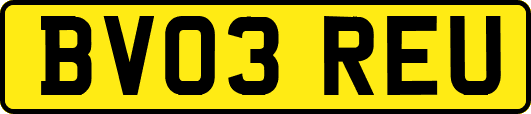 BV03REU