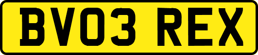 BV03REX